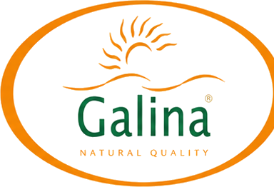 Galina logo